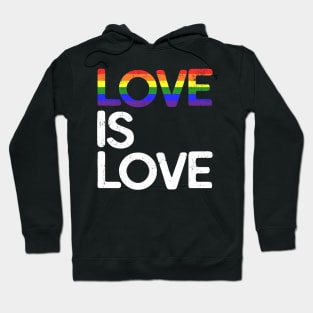 LGBT Gay Pride T-shirt Love is Love Hoodie